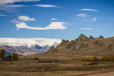 САМОЦВЕТЫ