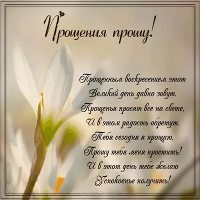 Как просить прощения в Прощеное воскресенье: что говорят, как отвечать в Прощеное  воскресенье