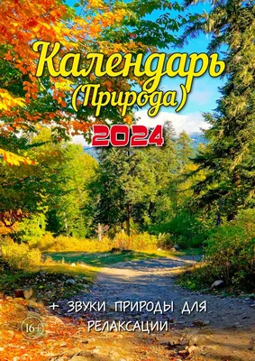 Тетради BG формата А4. Минимализм уровня «Неон»