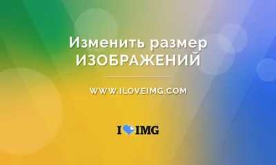 Букет нарциссов (цветов) в формате png с прозрачным фоном — 