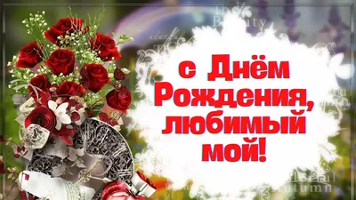 С Днем Рождения! – смотреть онлайн все 16 видео от С Днем Рождения! в  хорошем качестве на RUTUBE