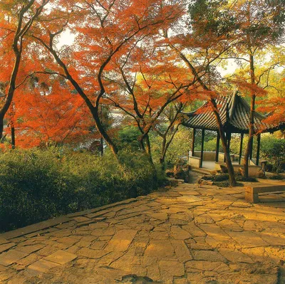 Сад в японском стиле - АМ АГРО
