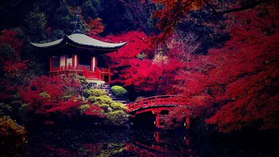 Природа в стиле сансуй (живопись на шёлке). Японские пейзажи кисти Koukei  Kojima. Обсуждение на LiveInternet - Российский Сервис Онлайн-Дневников
