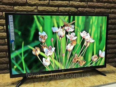 LED Телевизор LG 55 Изображение 4К Smart TV Android 9 Эфирное Т-2 Кабельное  ТВ Wi-Fi Телевизор ЛЖ 55 Дюймов — Купить на  ᐉ Удобная Доставка  (1477279636)