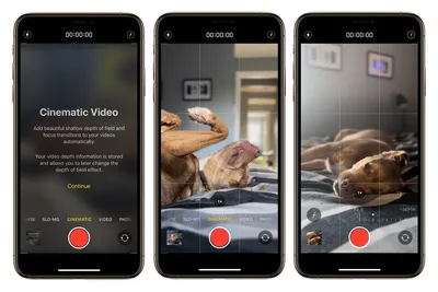 Сам себе режиссёр: как с помощью кинорежима снимать голливудские фильмы на  iPhone 14? - iSpace
