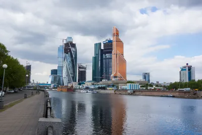 Фото петуха в хорошем качестве at Печать на футболках, шелкография,  тампопечать, тиснение, печать на пакетах - пакеты с логотипом..