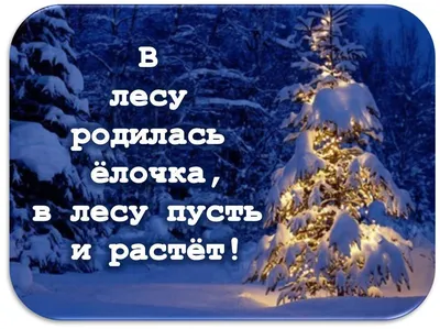 Песня "В лесу родилась елочка" в стилях разных композиторов и разных  исполнителей.. Обсуждение на LiveInternet - Российский Сервис  Онлайн-Дневников