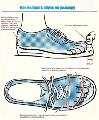 Как выбрать обувь, которая идеально сидит | Будь лучше каждый день! 💡 |  Дзен
