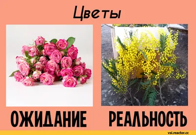 Международный женский день: ожидание и реальность8 марта - это же ого-го  какой повод помечтать о под / 8 марта :: Всё самое интересное (интересное,  познавательное,) :: разное / картинки, гифки, прикольные комиксы,  интересные статьи по теме.