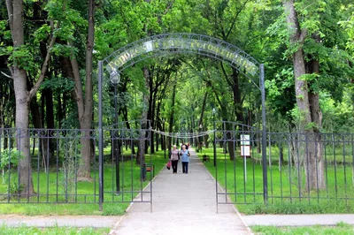 Гаснет ли свет в парке? Примеры лучших городских парковых пространств в  России - «Diora»