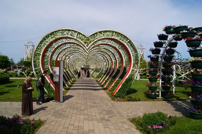 Перовский Парк - О парке у прудов «Радуга»
