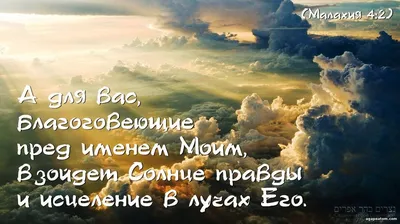 Картинки с пожеланиями в трудную минуту поддержки (49 фото) » Юмор, позитив  и много смешных картинок