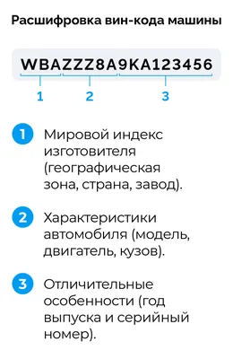 Расшифровка VIN-кода авто: о чем расскажут 17 символов