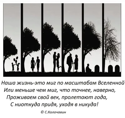 Это стихи о нашей жизни, к большому сожалению | Жизнь как она есть | Дзен