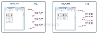 HTML Tables – Table Tutorial with Example Code