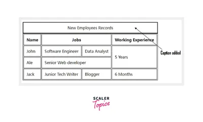 CSS Table Styles - Scaler Topics