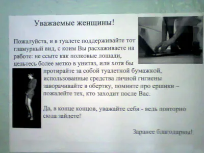 Что написать в туалете, чтобы соблюдали чистоту: 50 объявлений