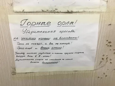 Туалет — Википедия