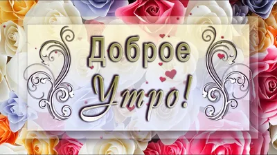 Доброе утро! | Утренние цитаты, Доброе утро, Воскресенье