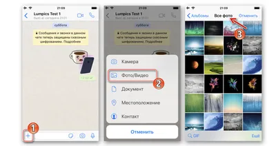 Как отправить фото с Ватсапа на Ватсап: пошаговая инструкция
