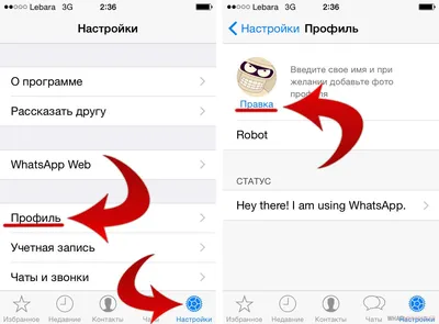 Как поменять фон в Whatsapp на Android и Iphone?