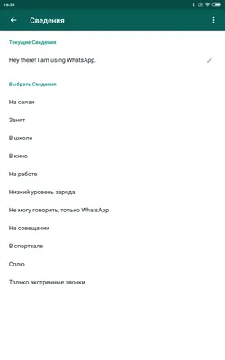 Что такое статус в Ватсап и как им пользоваться | 