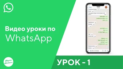 Картинки для статуса Whatsapp: большая коллекция