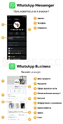 Как стать невидимкой в WhatsApp