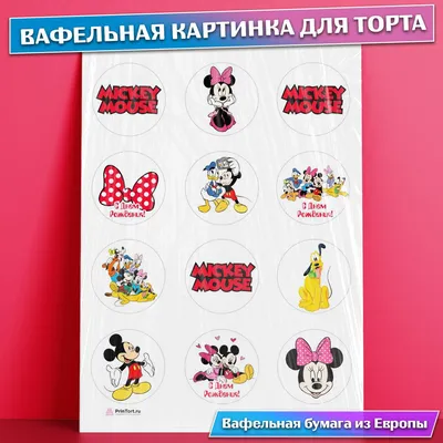 Вафельная картинка на торт Тимон Х*як и 35 лет прикол PrinTort 73812726  купить за 274 ₽ в интернет-магазине Wildberries