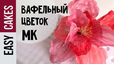 copy of Вафельные цветы для торта Дейзи микс 12 шт