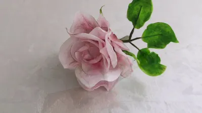 💮Peony from wafer paper. 💐Wafer flowers ( English Subtitles ) - I -  Tortodel! - YouTube