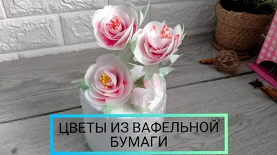 Вафельные цветы в торте 🌺🌺 декор условно съедобный. Лепестки из вафельной  съедобной, но безвкусной бумаги, внутри - сладкий шар из… | Instagram