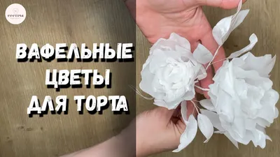 Вафельные цветы крупные, микс - купить Вафельные украшения для тортов в  интернет-магазине 