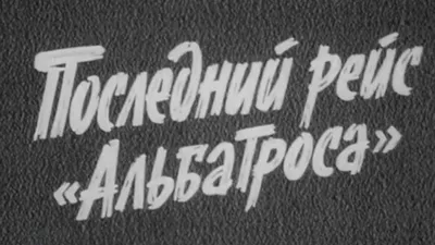 В поместье поселились… аисты Что происходит в знаменитой усадьбе в  Подороске — Вечерний Гродно