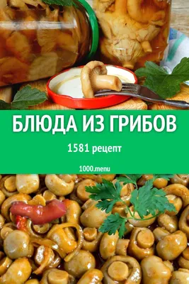 Валерия немченко / смешные картинки и другие приколы: комиксы, гиф  анимация, видео, лучший интеллектуальный юмор.