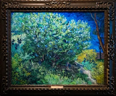 van gogh's starry night nightmare with a Sunflower field during halloween  hyper realistic / Ван Гог :: нейроарт :: art :: MidJourney :: нейросети -  JoyReactor