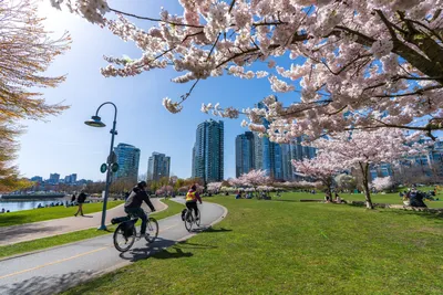 Visit Vancouver: 2024 Travel Guide for Vancouver, British Columbia | Expedia