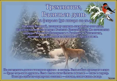 Васильев день или Старый Новый год» 2024, Арзгирский район — дата и место  проведения, программа мероприятия.