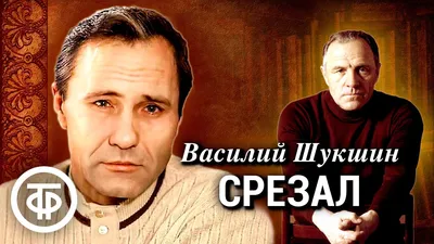 Василий Шукшин. Рассказы — купить в интернет-магазине по низкой цене на  Яндекс Маркете