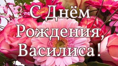 День рождения Василисы