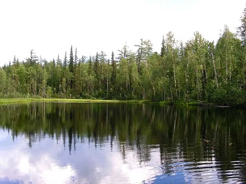 Озеро Реальное Фото