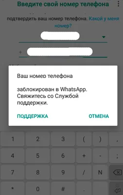 Как разблокировать WhatsApp Business: почему блокируют и как восстановить |  Wazzup