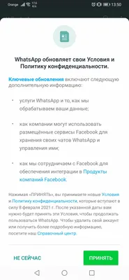 WhatsApp перестал работать на миллионах смартфонов россиян с 24 октября