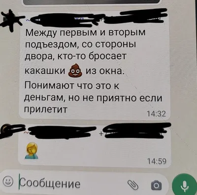 WhatsApp: истории из жизни, советы, новости, юмор и картинки — Горячее,  страница 2 | Пикабу