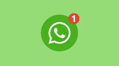 Как установить бета-версию WhatsApp на компьютер | 