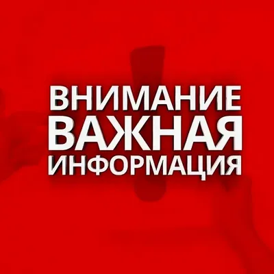 Красивые фото картинки «Важная информация!»