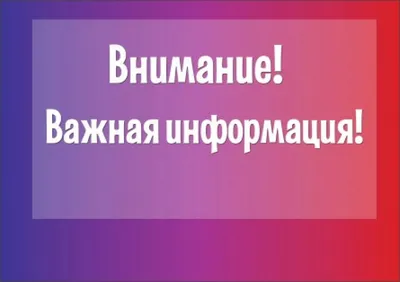 Кошечка чистокровная британка в Новосибирске. Цена - договорная. -  НГС.ОБУЧЕНИЕ