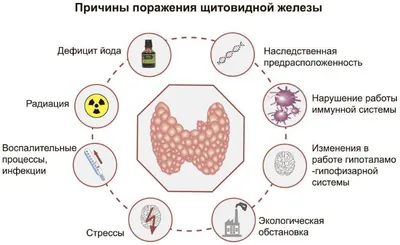 Это важно знать! Эндокринология. — Ярославский Областной  Кожновенерологический Диспансер