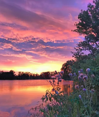Вечерние пейзажи озера Светлого. Photographer Dmitriy Antipov