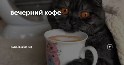вечерний кофе | Юлий Бессонов | Дзен